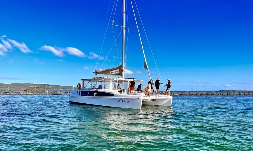 Moreton Bay Oyster Farm Tour & Lunch - Half Day | Experience Oz