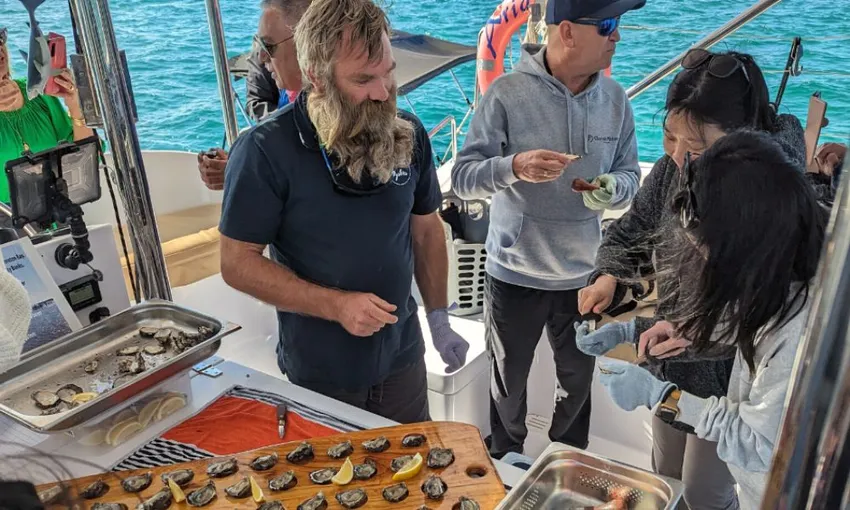 Moreton Bay Oyster Farm Tour & Lunch - Half Day | Experience Oz