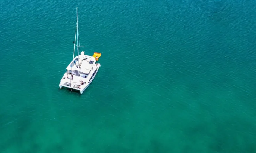 Moreton Bay Oyster Farm Tour & Lunch - Half Day | Experience Oz