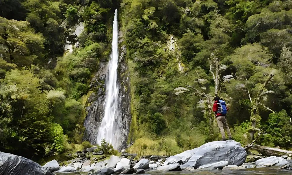 Wanaka to Franz Josef Small Group Tour - Full Day | ExperienceOz-3