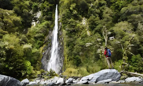 Wanaka to Franz Josef Small Group Tour - Full Day