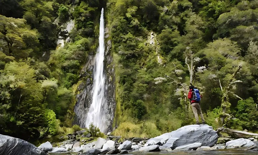 Wanaka to Franz Josef Small Group Tour - Full Day | ExperienceOz