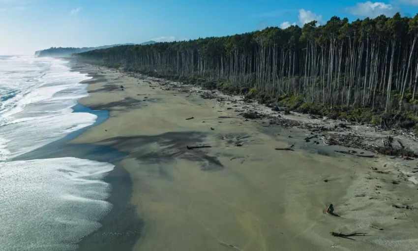 Wanaka to Franz Josef Small Group Tour - Full Day | ExperienceOz