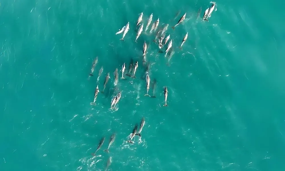 Stradbroke Island Tour from Brisbane - Full Day | Experience OZ-6