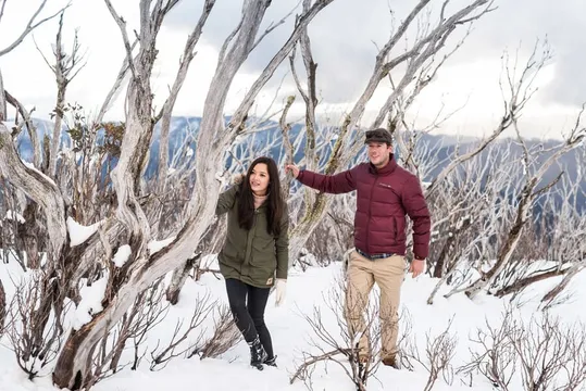 Lake Mountain Snow Waterfalls and Chocolate Tour from Melbourne