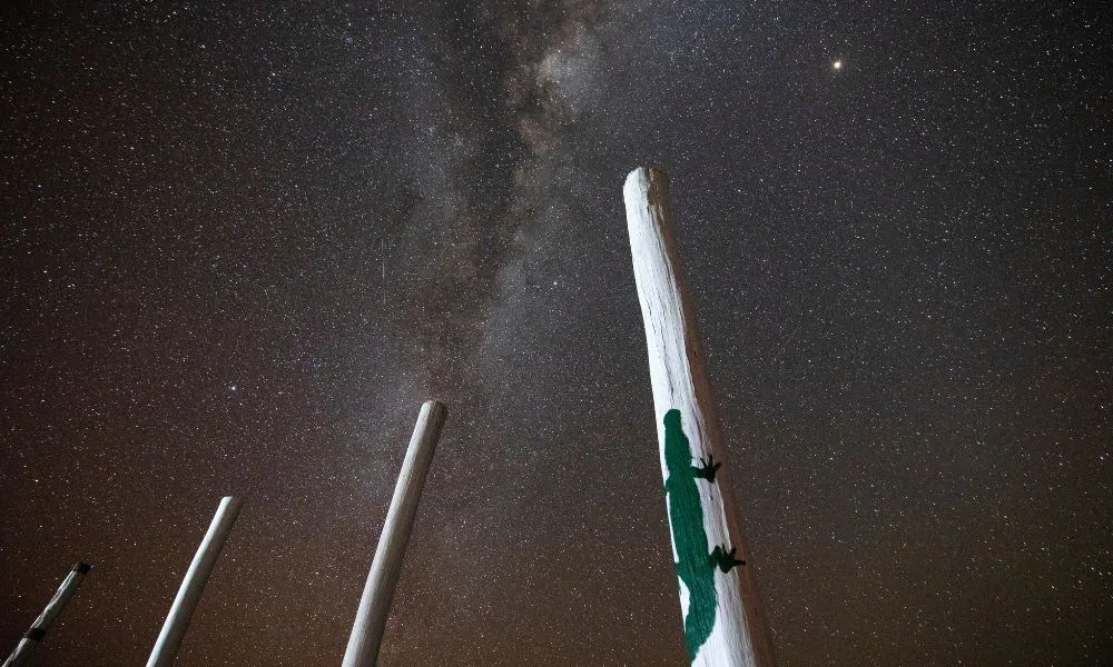 Dreamtime Stories and Stargazing - 2.5 Hours | Experience Oz-1