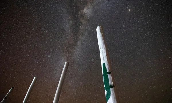 Dreamtime Stories and Stargazing - 2.5 Hours