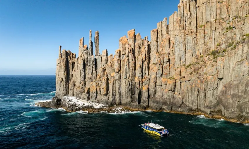 Cape Raoul Wilderness Cruise from Port Arthur | Experience Oz
