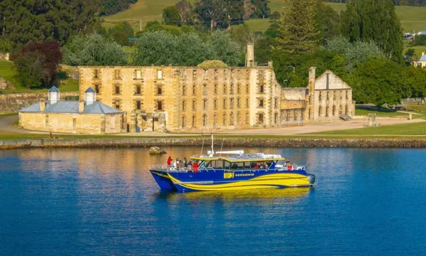 Cape Raoul Wilderness Cruise from Port Arthur - 90 Minutes