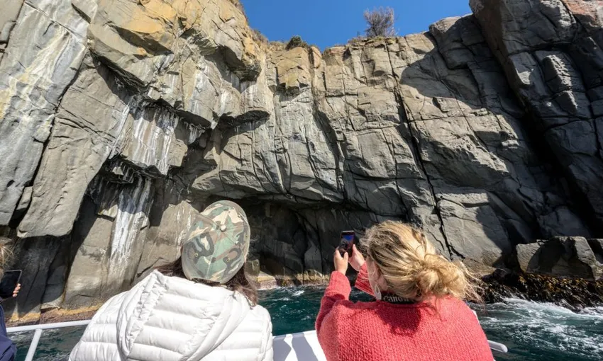 Cape Raoul Wilderness Cruise from Port Arthur | Experience Oz