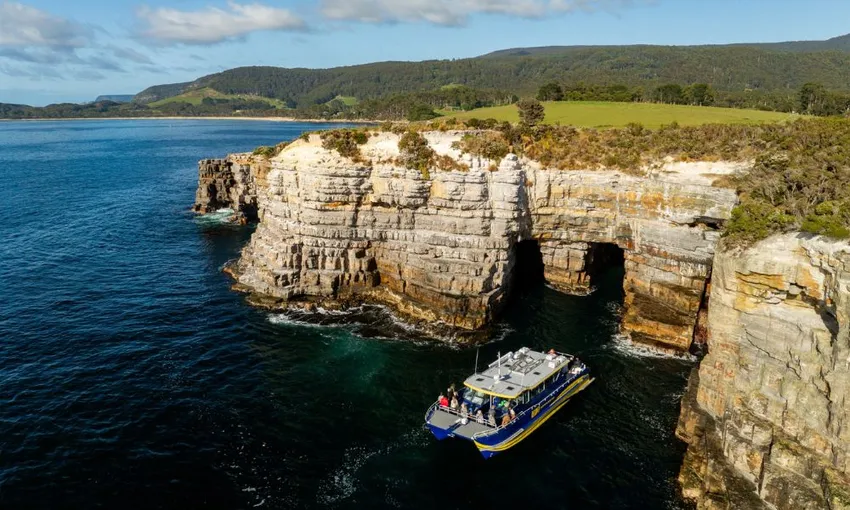 Cape Raoul Wilderness Cruise from Port Arthur | Experience Oz
