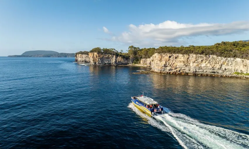 Cape Raoul Wilderness Cruise from Port Arthur | Experience Oz