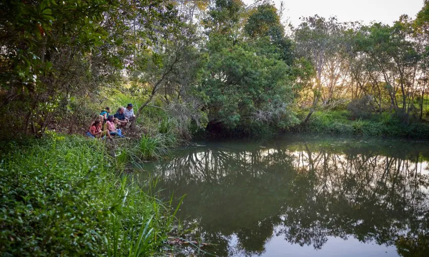 Afternoon and Night Rainforest Wildlife Spotting Tour