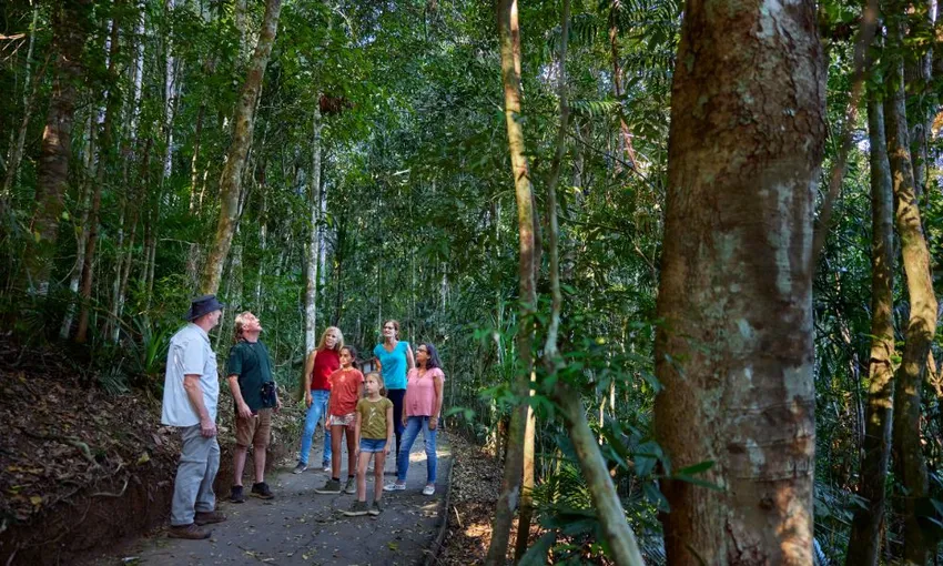 Afternoon and Night Rainforest Wildlife Spotting Tour