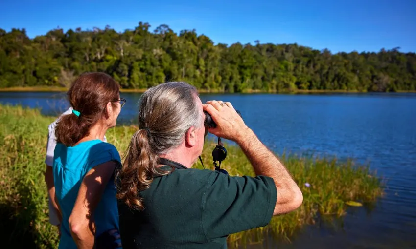 Afternoon and Night Rainforest Wildlife Spotting Tour