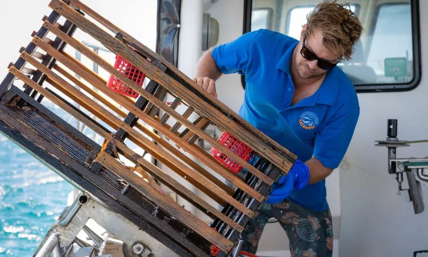 Kalbarri Rock Lobster Catch and Keep Tour - 2 Hours | Experience Oz