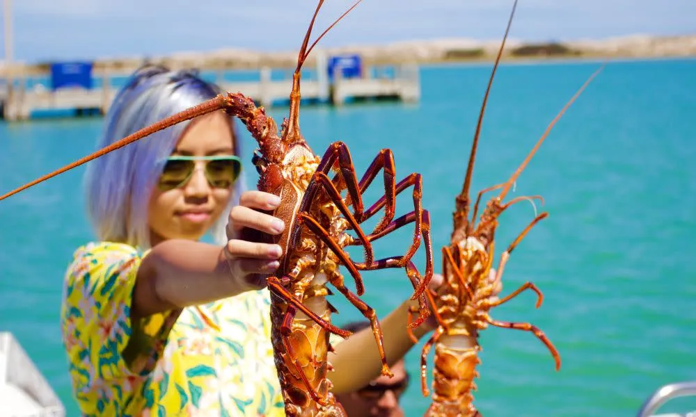 Kalbarri Rock Lobster Catch and Keep Tour - 2 Hours | Experience Oz-1