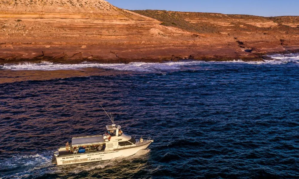 Kalbarri Coastal Sunset Cruise - 90 Minutes | Experience Oz-4