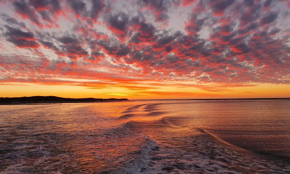 Kalbarri Coastal Sunset Cruise - 90 Minutes | Experience Oz-8