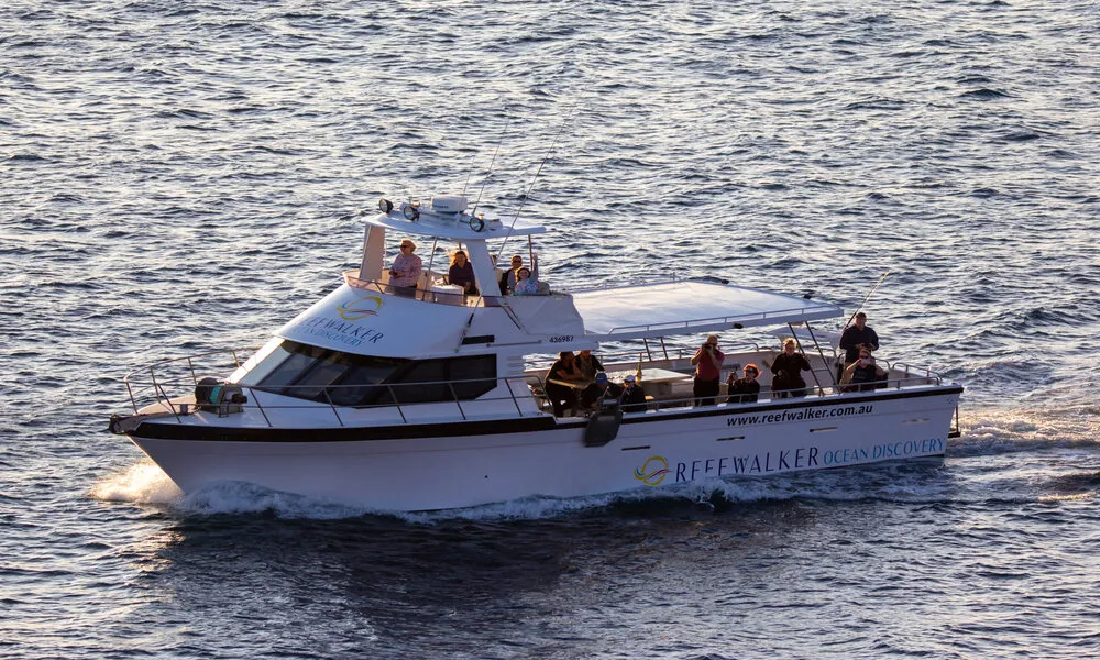 Kalbarri Coastal Sunset Cruise - 90 Minutes | Experience Oz-7