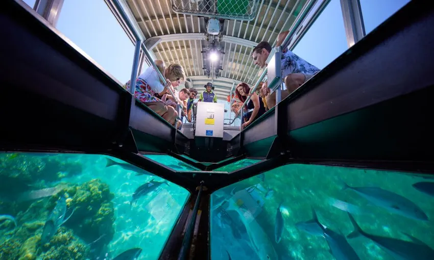 Green Island Catamaran Tour - Half Day | ExperienceOz
