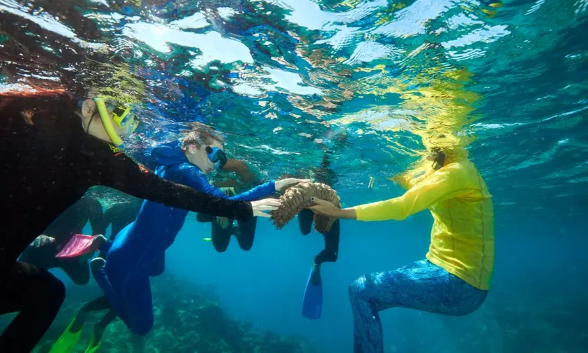 Green Island Catamaran Tour - Half Day | ExperienceOz