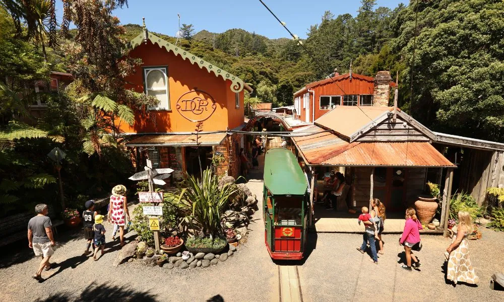 Railway Tour in Coromandel - 75 Minutes | Experience Oz + NZ-5