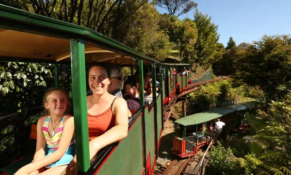 Railway Tour in Coromandel - 75 Minutes
