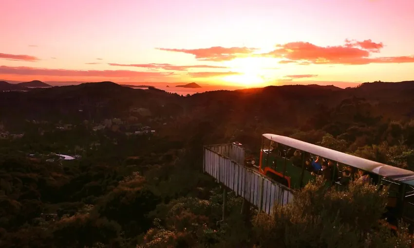 Railway Tour in Coromandel - 75 Minutes | Experience Oz + NZ