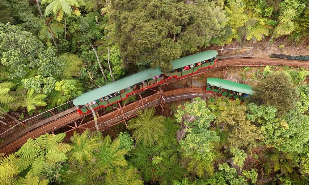 Railway Tour in Coromandel - 75 Minutes | Experience Oz + NZ-4