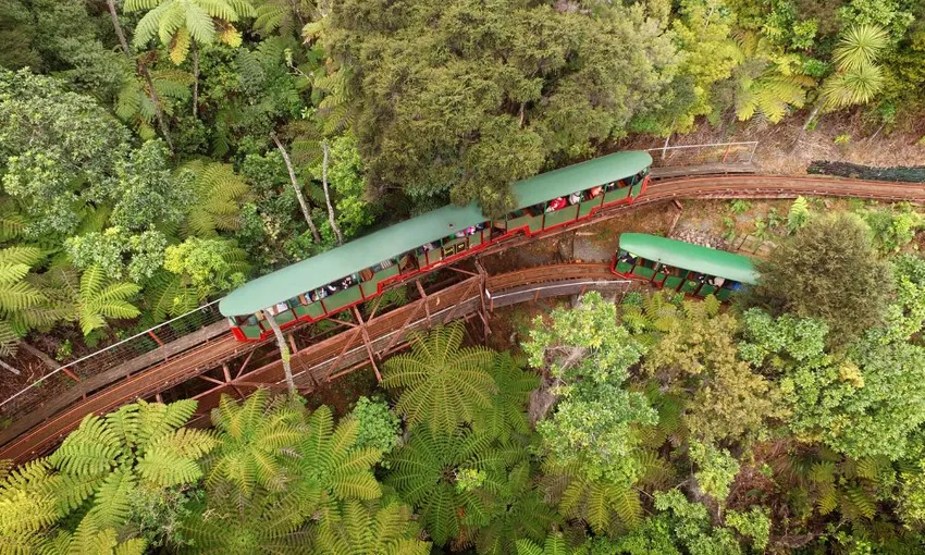 Railway Tour in Coromandel - 75 Minutes | Experience Oz + NZ