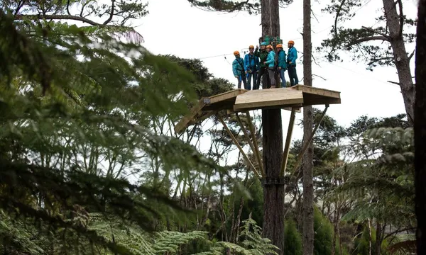 Zipline Tour in Coromandel - 2.5 Hours 