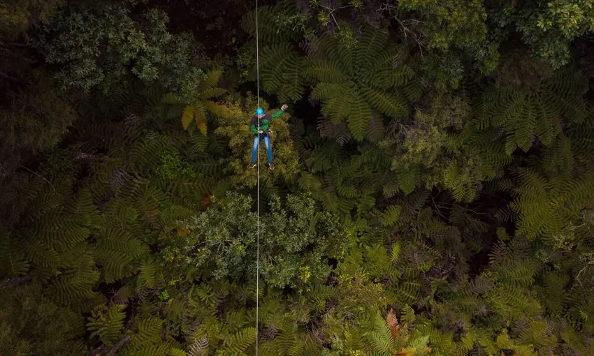 Zipline Tour in Coromandel - 2.5 Hours | Experience Oz + NZ