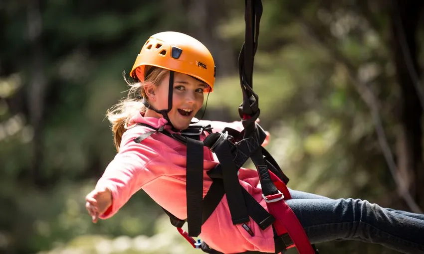 Zipline Tour in Coromandel - 2.5 Hours | Experience Oz + NZ