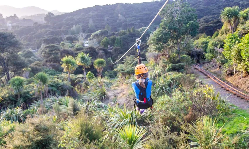Zipline Tour in Coromandel - 2.5 Hours | Experience Oz + NZ