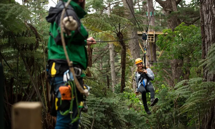 Zipline Tour in Coromandel - 2.5 Hours | Experience Oz + NZ
