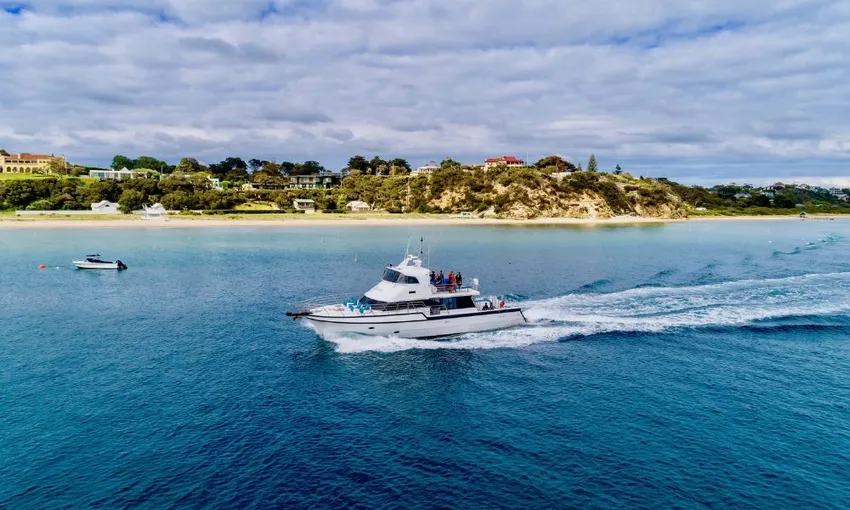 Seal and Sea Dragon Snorkel Experience | Experience Oz