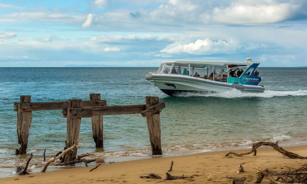 Wildlife and Scenic Cruise from Mornington Peninsula - 90 Minutes | ExperienceOz-2