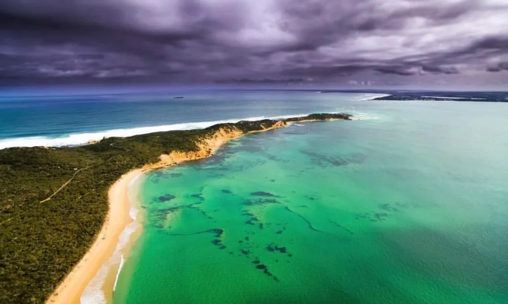 Wildlife and Scenic Cruise from Mornington Peninsula - 90 Minutes | ExperienceOz-4