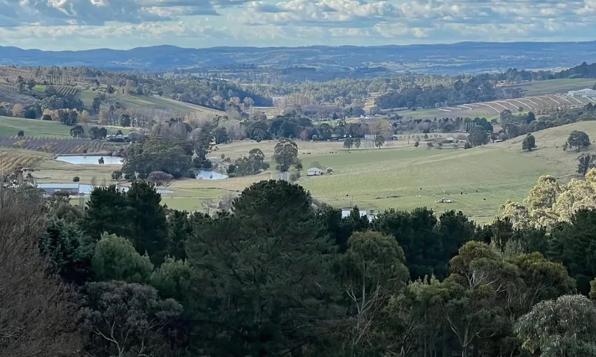 Private Wine Tasting Tour in Orange - For 2 - 5.5 Hours | ExperienceOz