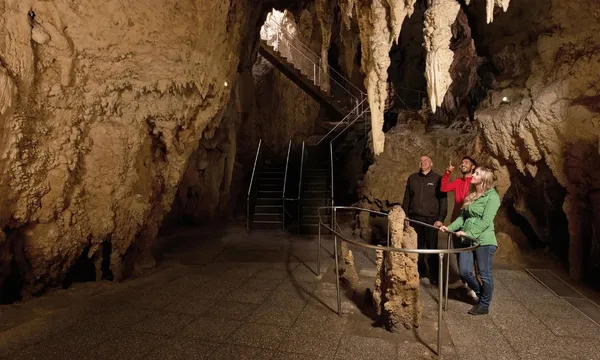 Aranui Cave Guided Tour Waitomo - 1 Hour