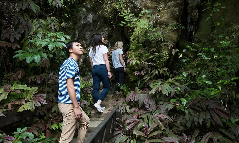 Aranui Cave Guided Tour Waitomo - 1 Hour | Experience Oz + NZ-6