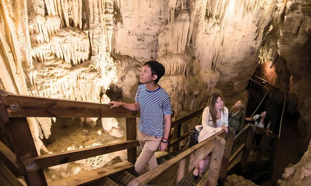 Aranui Cave Guided Tour Waitomo - 1 Hour | Experience Oz + NZ-5
