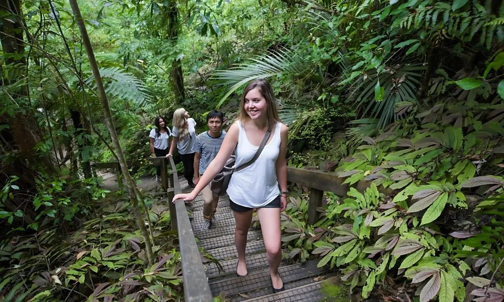 Aranui Cave Guided Tour Waitomo - 1 Hour | Experience Oz + NZ-3