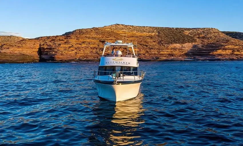Kalbarri Whale Watching Tour - 2.5 Hours