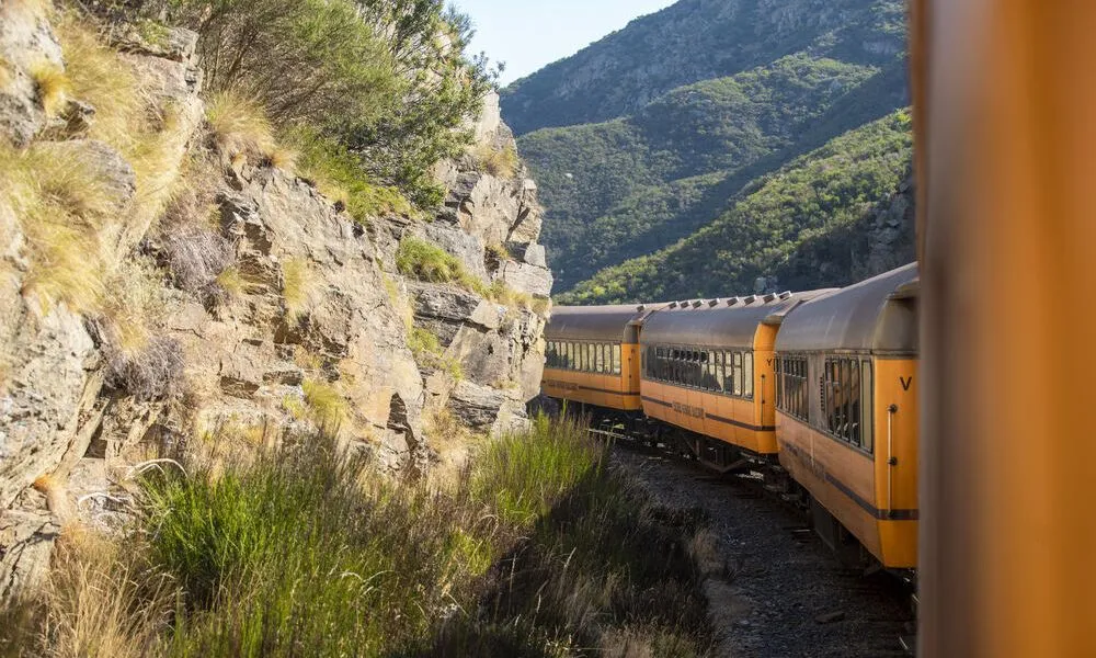 Scenic Railway Trip through Taieri Gorge from Dunedin | Experience Oz-4