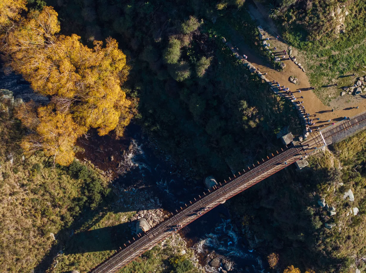 Scenic Railway Trip through Taieri Gorge from Dunedin | Experience Oz-12