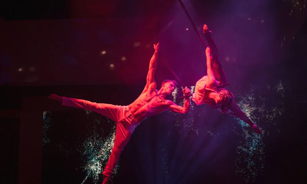 Gold Coast Disco Disco Show - 1.5 Hours | Experience Oz-4