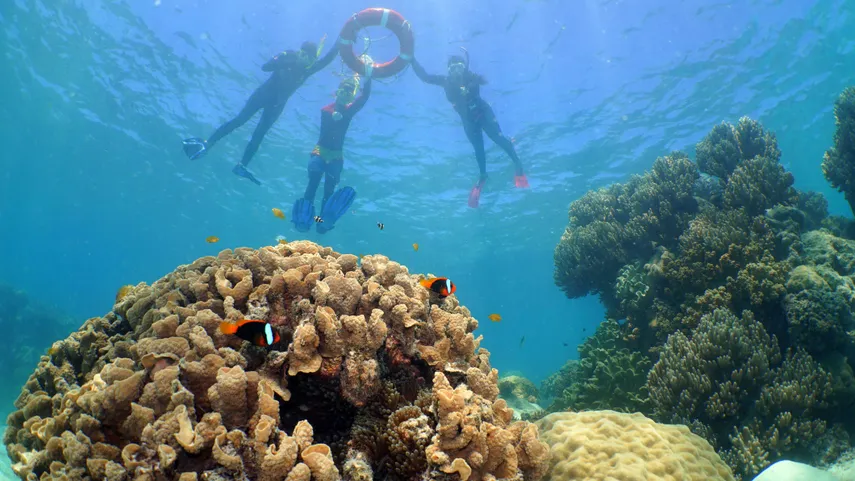 Great Barrier Reef Sail and Snorkel Cruise from Cairns | Experience Oz