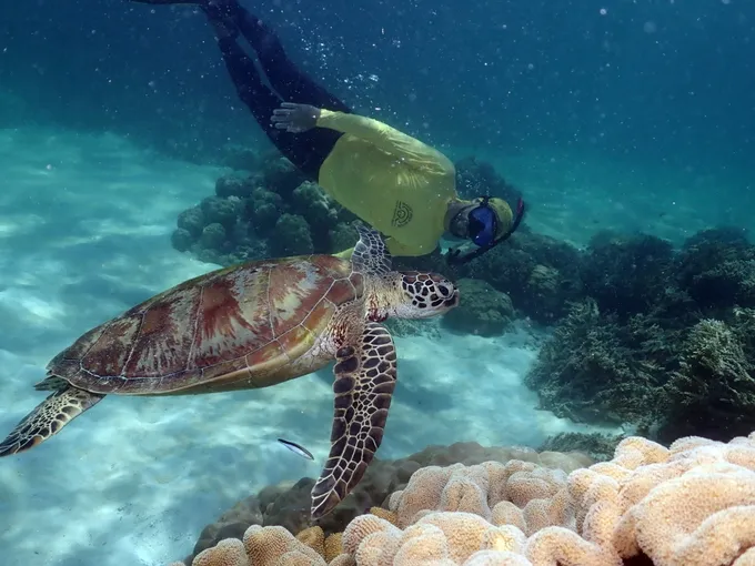 Great Barrier Reef Sail and Snorkel Cruise from Cairns | Experience Oz